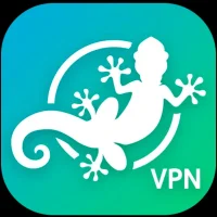 Gecko VPN